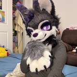 juniper_the_fox from onlyfans